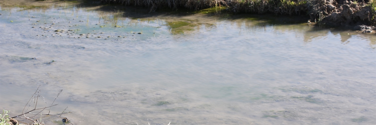 Welcome to the Artesian Bore Water Users Association